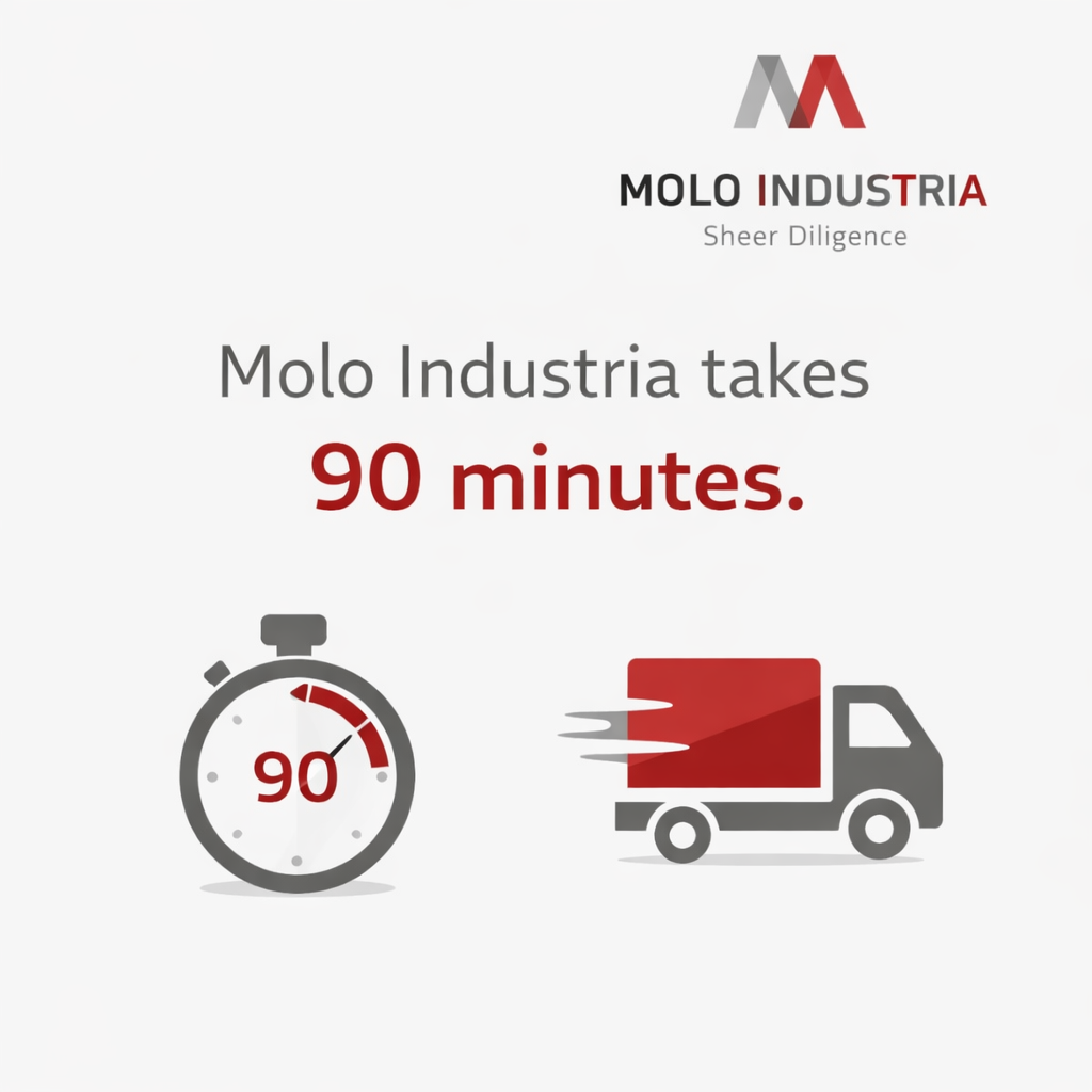 90 minute Minute Molo Dispatch